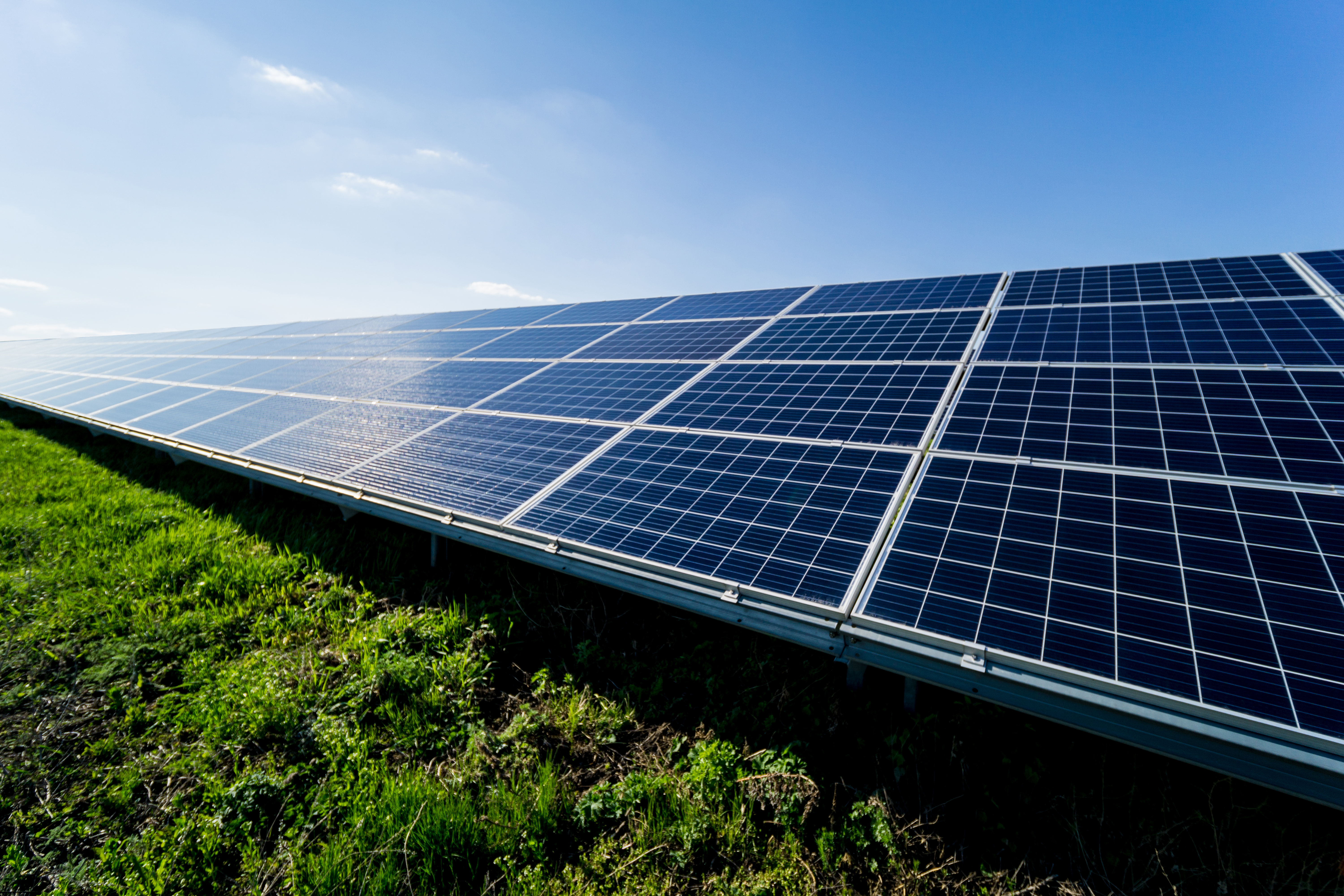 Paneles solares